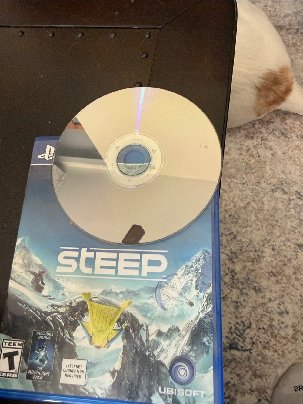 Sony PlayStation 4 Steep Game -
